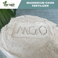 Polvere di magnesite calcinata caustica per pannello MgO