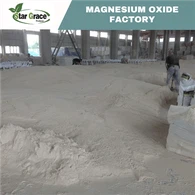 Polvere di magnesia calcinata caustica di ossido di magnesio per il mercato europeo