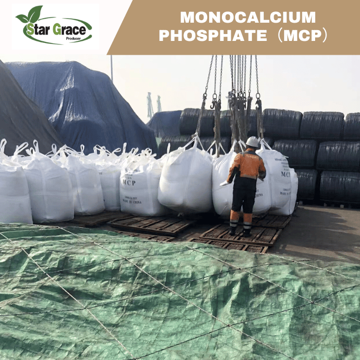 The Risks and Effects of Monocalcium Phosphate(MCP)